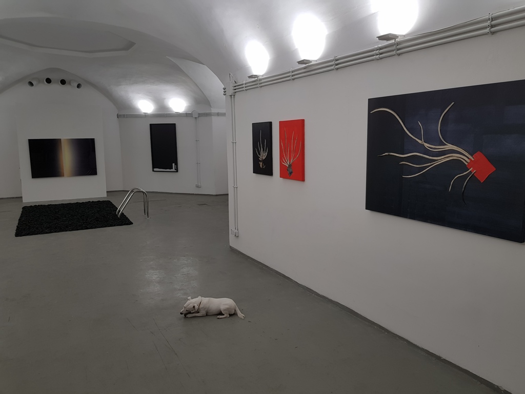 2 Divenire group show curated by Giuditta Elettra Lavinia Nidiaci